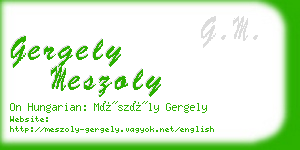 gergely meszoly business card